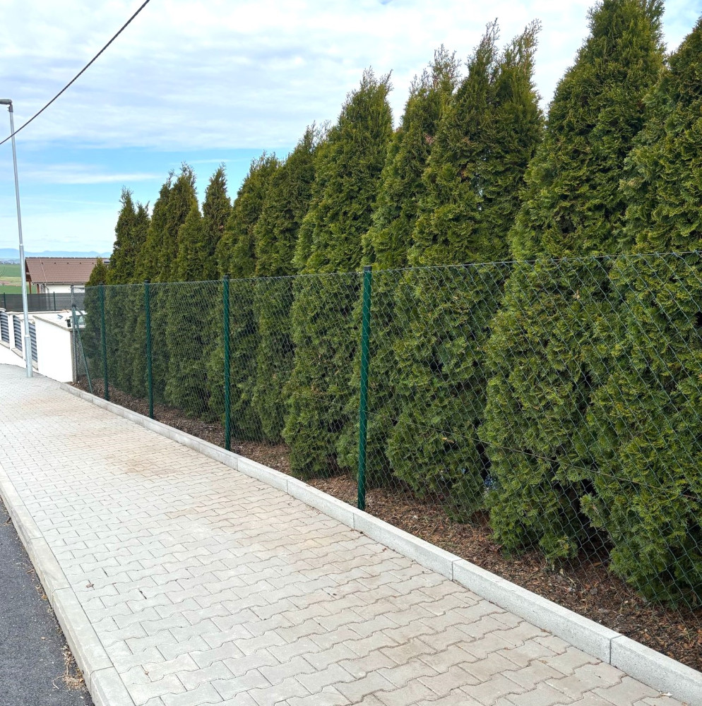 Malíkovice, duben 2025, pletivo Ideal 180cm